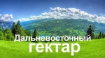Программа «Дальневосточный гектар» уже доступна россиянам