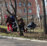 В Веневе благоустраивают территории образовательных учреждений - Красное знамя