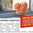Реализуется проект «Тульская область – территориальная безопасность» - Красное знамя