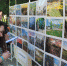 Продолжается прием фотографий на конкурс «ФОТОВЕНЕВ - 2019» - Красное знамя