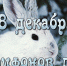 28 декабря - Трифонов день - Красное знамя
