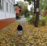 Литературный Венев. Кленовый лист - Красное знамя