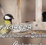 12 ноября - Зиновий и Зиновия, Синичкин день - Красное знамя
