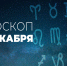 Сегодня козерогам лучше отложить важные дела и решение серьезных задач - Красное знамя