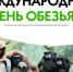 Сегодня многие зоопарки мира участвуют в проведении праздника, посвящённого приматам. 14 декабря: Международный день обезьян - Красное знамя