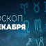 Львам сегодня легко поссориться даже с самым миролюбивым человеком - Красное знамя