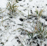 Сегодня в Веневе +3°C - Красное знамя