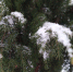 Сегодня в Веневе +6°C - Красное знамя