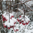 Сегодня в Веневе +7°C - Красное знамя