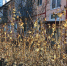 Сегодня в Веневе +7°C - Красное знамя