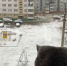 Сегодня в Веневе +4°C - Красное знамя