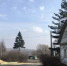 Сегодня в Веневе +11°C - Красное знамя
