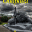 Сотрудники Метростроевского СДК провели тематическую онлайн-беседу «Оборона Бреста». - Отдел по культуре