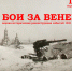 #ZемляСилы - Отдел по культуре