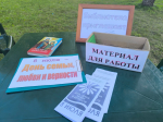 Центральная библиотека: «Ромашковое настроение» (6+)