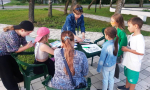 Центральная библиотека: «Тигриный саммит» (6+)