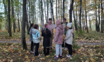 Метростроевский СБФ: «Листопад знаний» (6+)