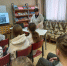 Метростроевский СБФ: «Венёв: история и современность» (6+) - Веневская библиотека